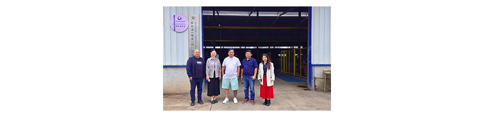 PROYECTO PAPELERA DE INDONESIA