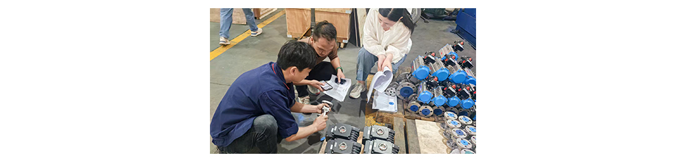 PROYECTO PAPELERA DE INDONESIA