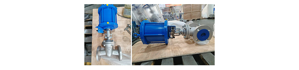 PROYECTO PAPELERA DE INDONESIA