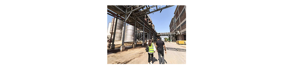 PROYECTO PAPELERA DE PAKISTÁN