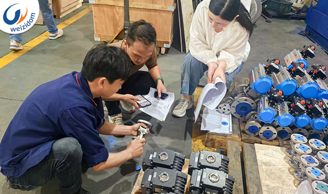 PROYECTO PAPELERA DE INDONESIA