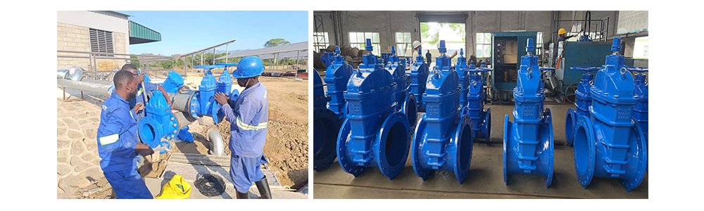 PROYECTO DE IRRIGACIÓN EN MALAWI