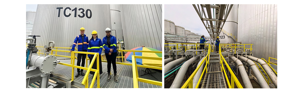 Soluciones de Válvulas de Alta Calidad para la Expansión Petrolera en Malasia | WEIZIDOM