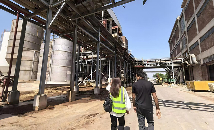 PROYECTO DE FÁBRICA DE PAPEL EN PAKISTÁN