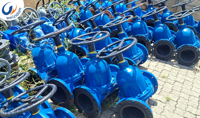 Zero Fugitive Emissions & Corrosive Media Control-Diaphragm Valves